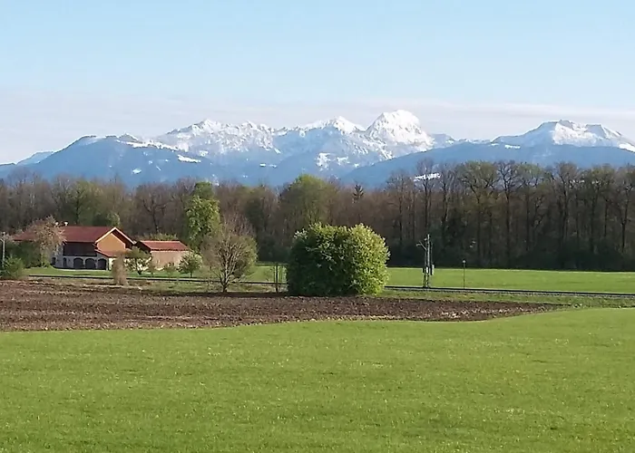 公寓 洛伦茨公寓酒店