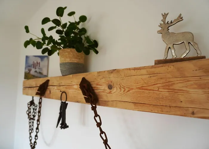 洛伦茨公寓酒店 公寓 *