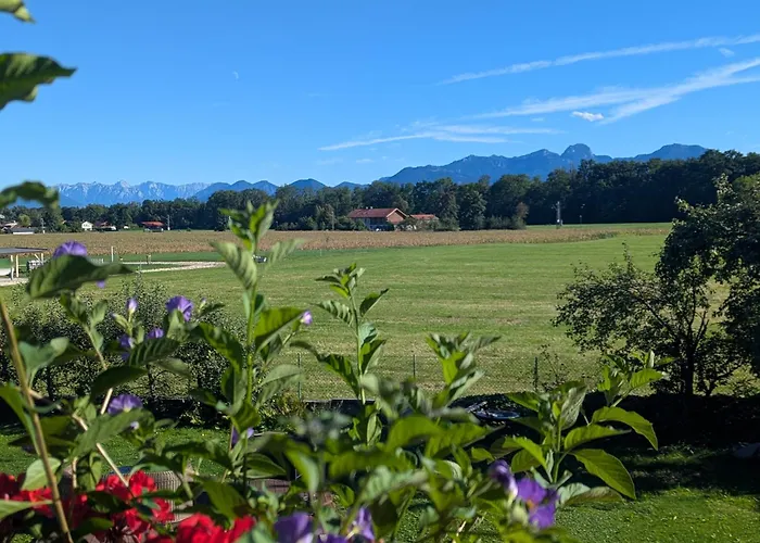 洛伦茨公寓酒店 * Heufeld