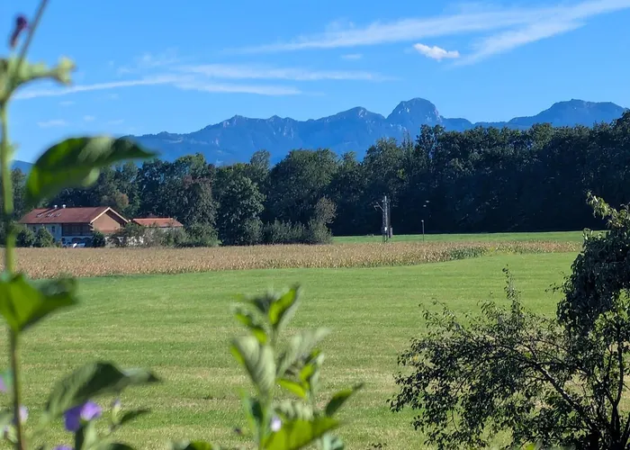 洛伦茨公寓酒店 *